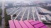 Vehicles stand at a port in this aerial photograph taken above Shanghai, China, on Monday, April 30, 2018. China won't succumb to "threats" from the U.S., a senior government official said, hours before talks are set to begin Thursday with a delegation of the Trump administration's top trade policy officials.