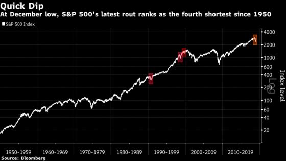 Has the Market Bottomed? Cases For and Against a Continued Rally