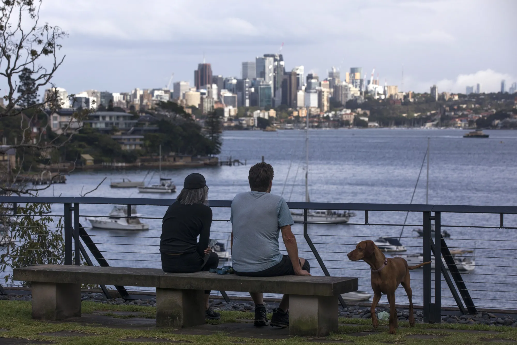 People looking out from Rose Bay onto the harbor in Sydney.