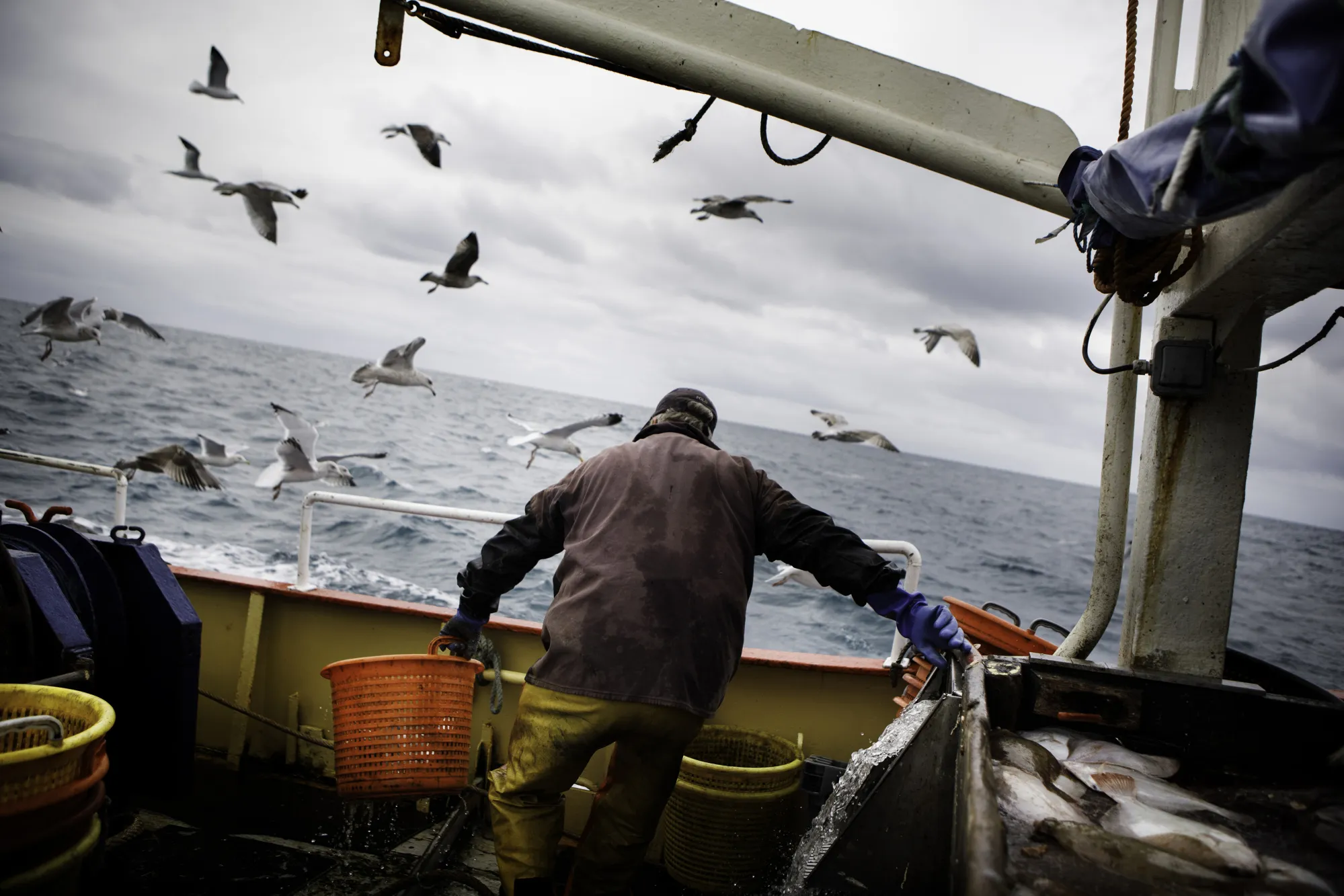 British Fishing Industry As UK to End Half Century of Fishing Rights in Brexit Slap To EU
