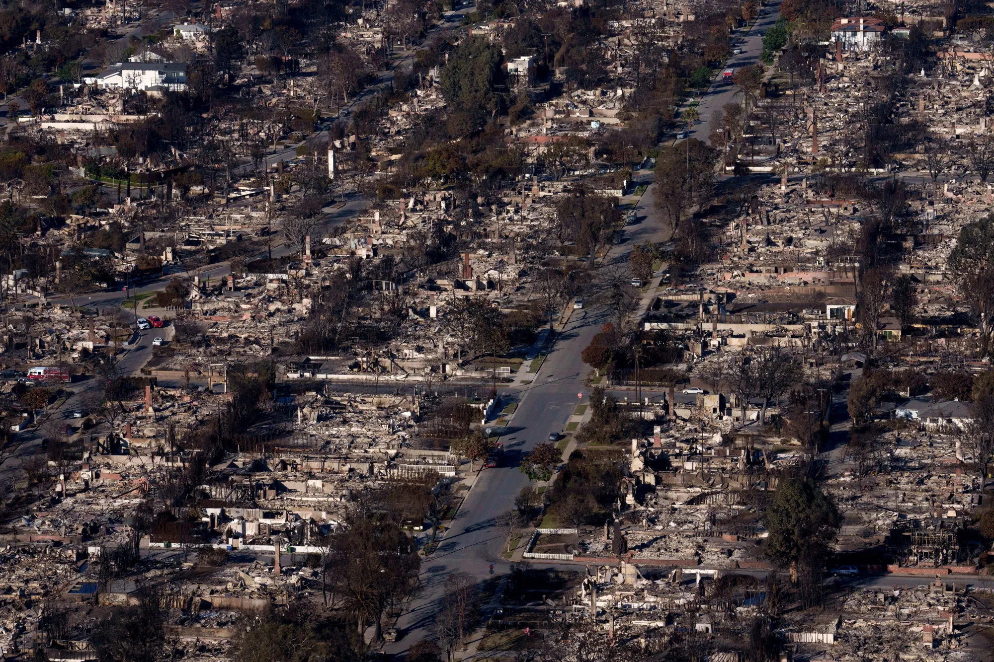 Homes destroyed by the Palisades Fire in the Pacific Palisades area of Los Angeles, on Jan. 15.