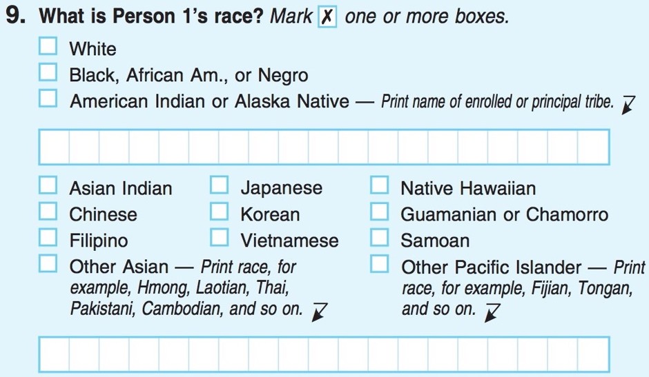The race question from the 2010 Census form. 