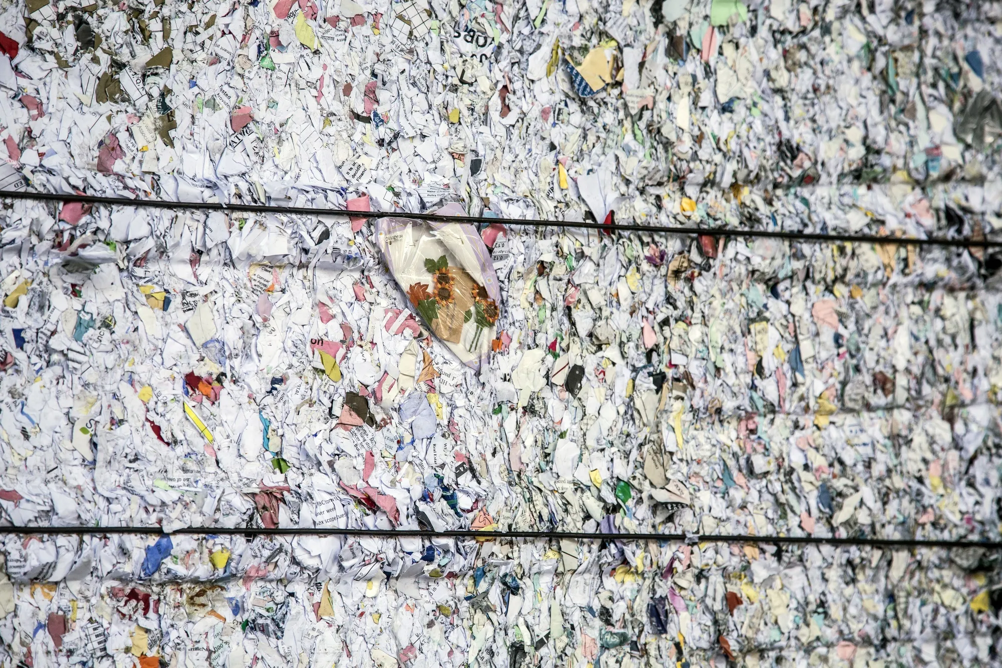 Operations Inside A Recycling Facility as The World's 2-Billion-Ton Trash Problem Just Got More Alarming