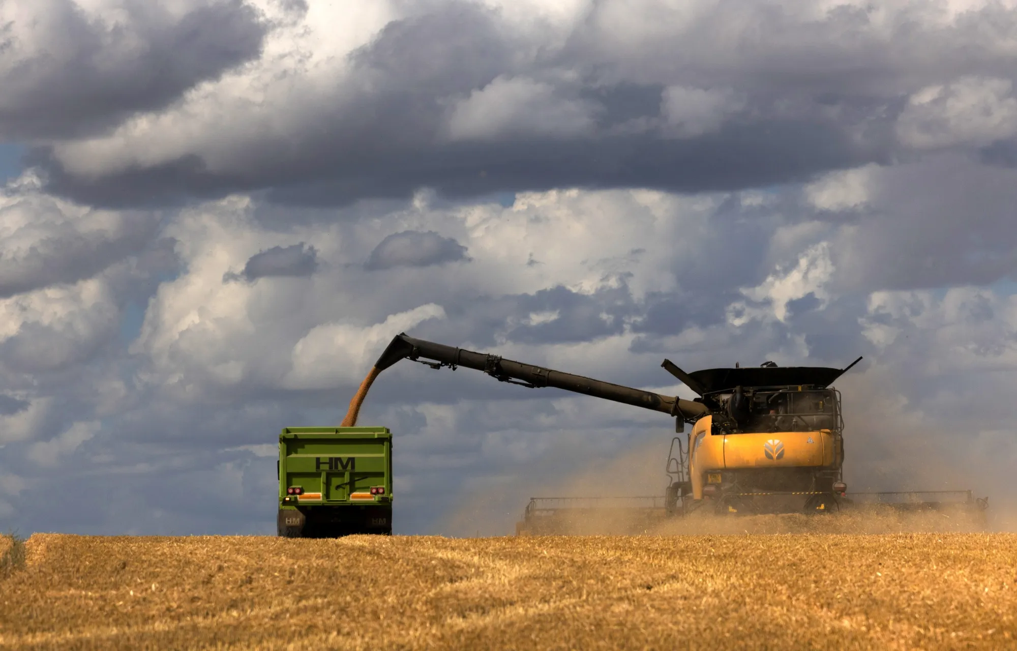 A farmer operates a combine harvester during a wheat harvest near Chipping Ongar, UK.