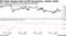 Oil Holds Steady Amid Tariff Uncertainty, Weaker Dollar | WTI rose by as much as 1.3% before paring gains