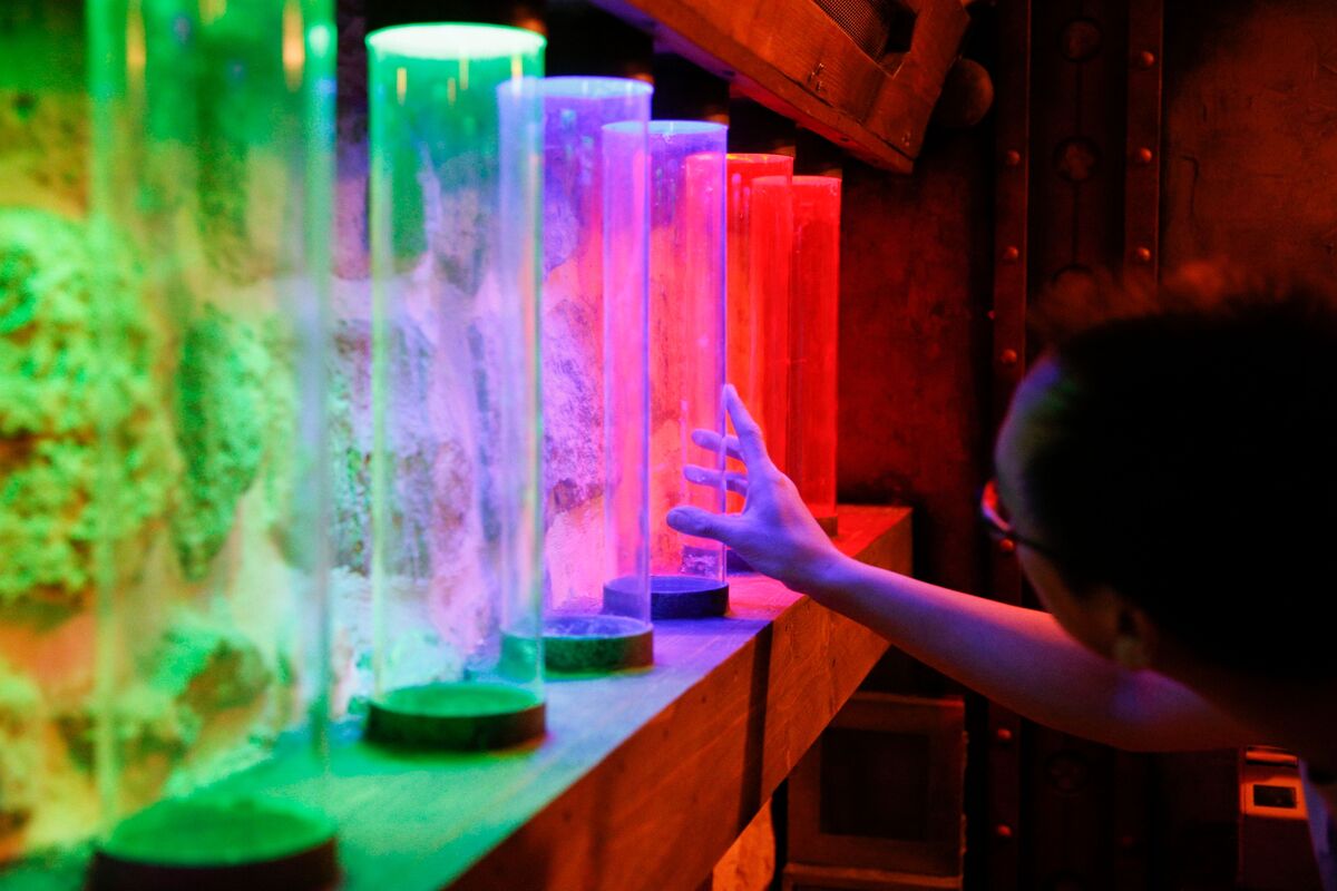 Kominers S Conundrums Can You Escape This Column Bloomberg