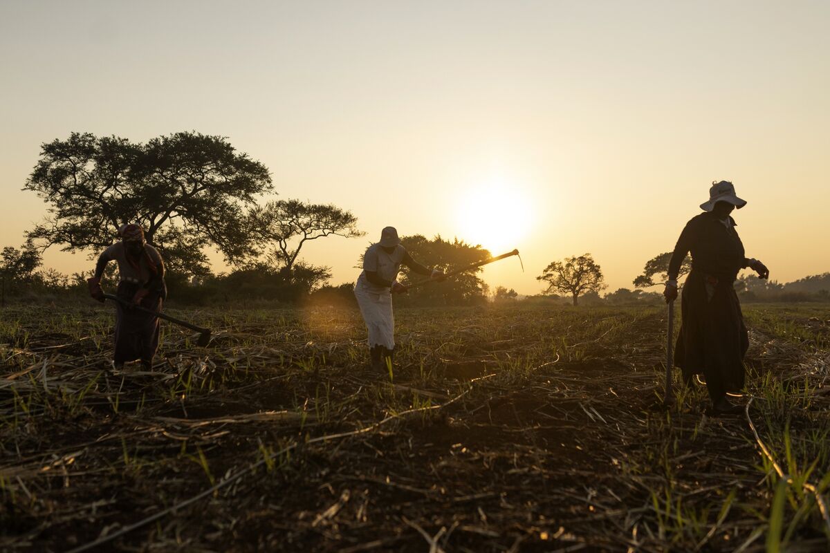 Climate Costs Mount for Poorer Nations Already Burdened by Debt
