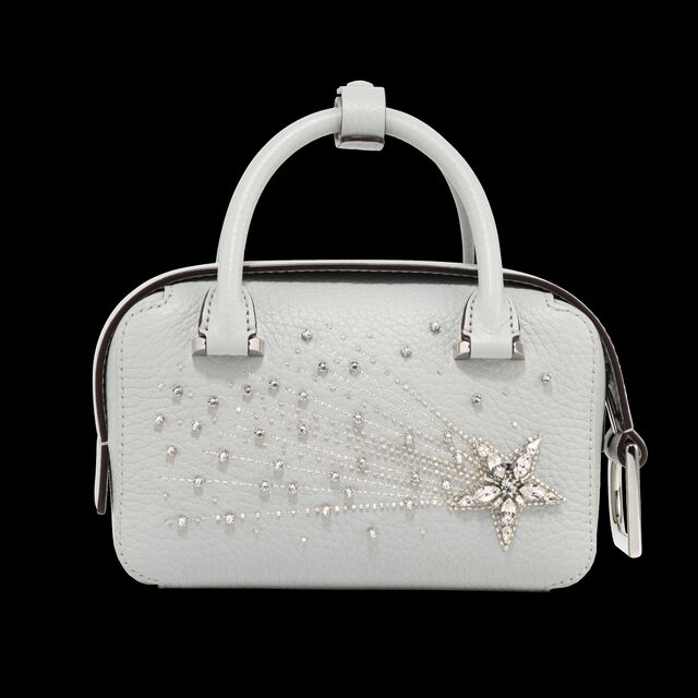 Delvaux Cool Box Nano