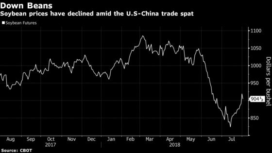 U.S. Unlikely to Replace Loss of China Soy Buying, Bunge Says