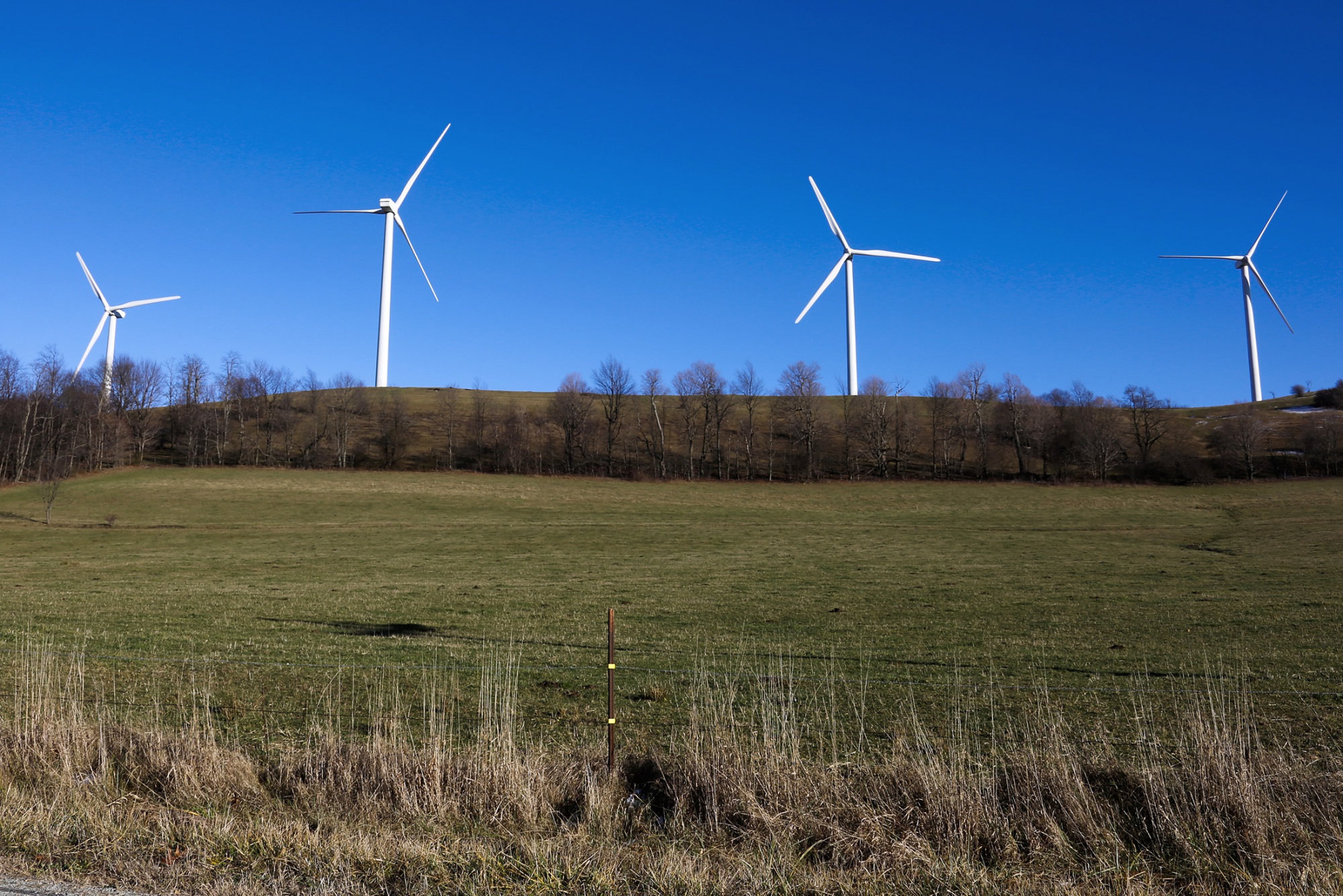 relates to The World’s Only $100 Billion Utility Owes Its Rise To Wind Power