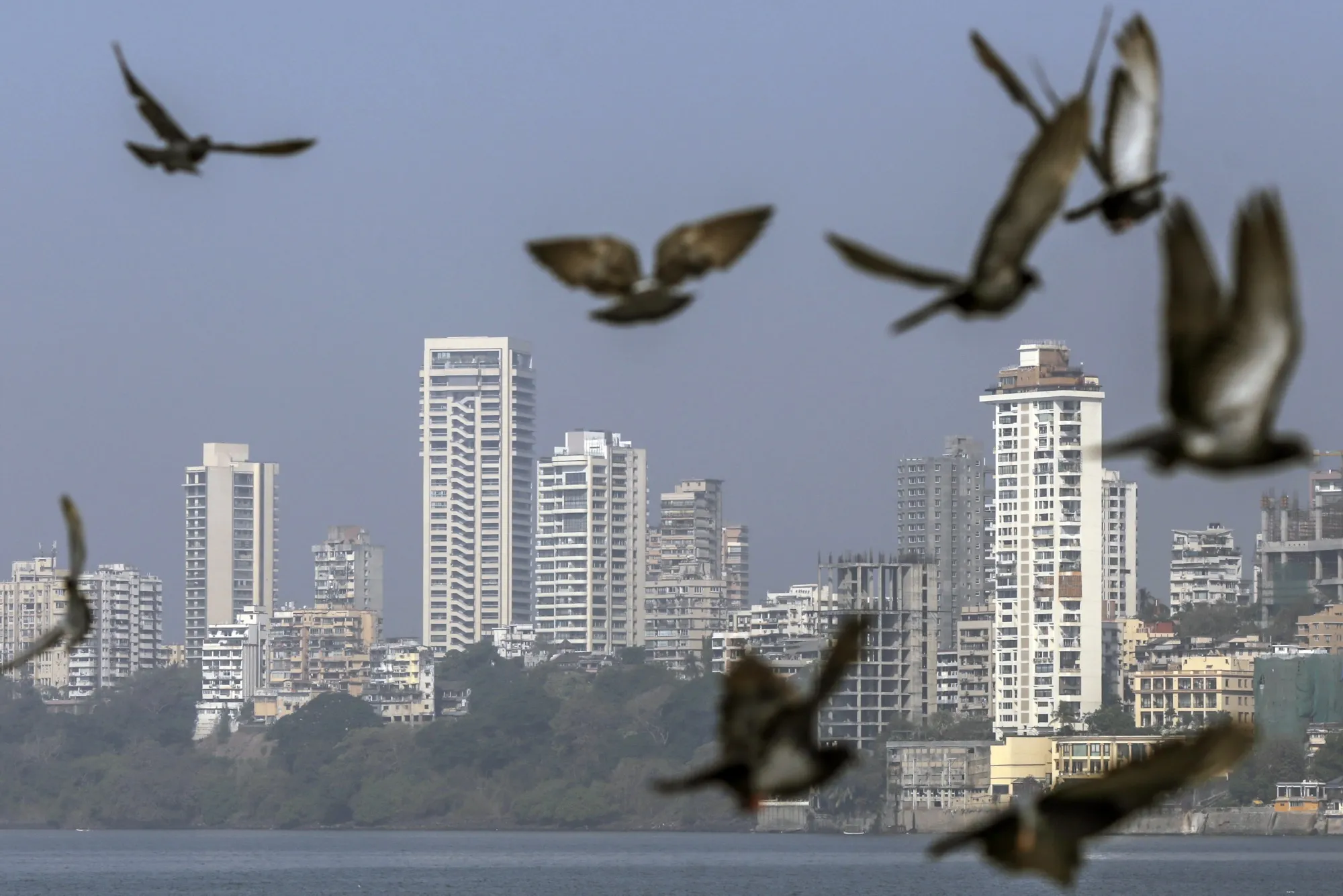 Carlyle, which&nbsp;opened&nbsp;its Mumbai office in 2005, made its first investment in India a year later and has since backed 22 local companies, according to its website.&nbsp;