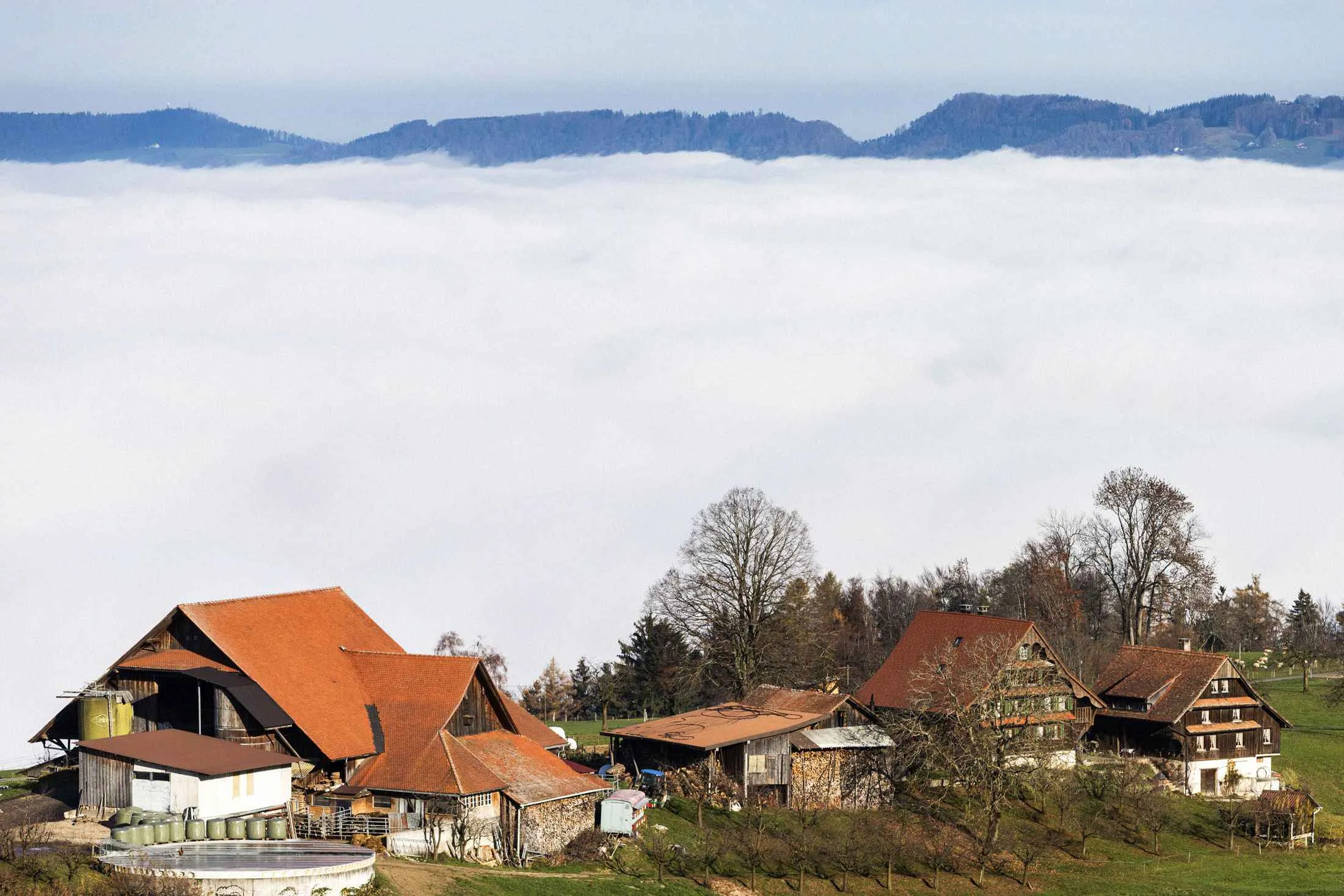 Welcome to Crypto Valley - Bloomberg