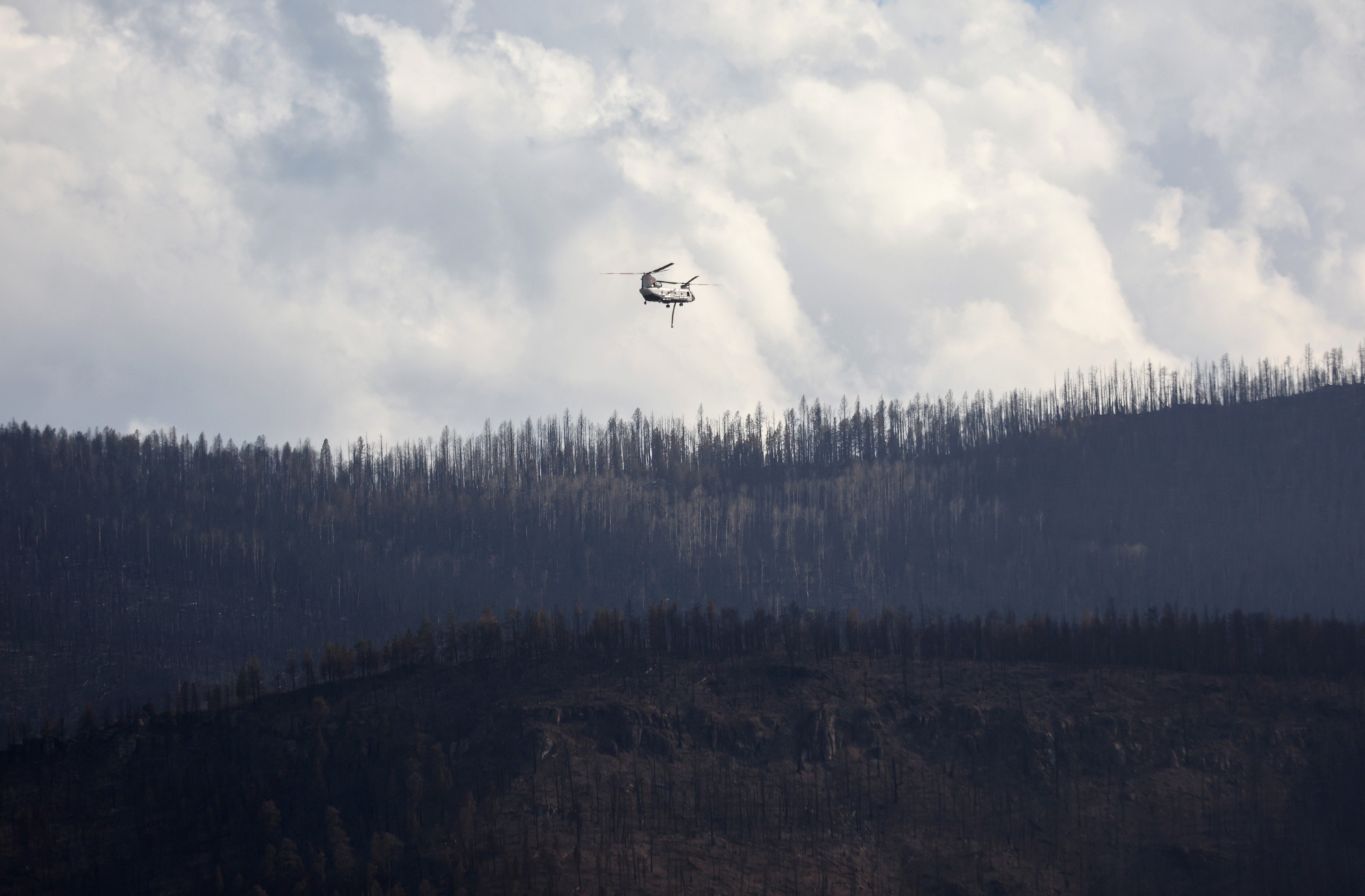 New Mexico Fire Update: Forest Service Apologizes for Triggering Record  Blaze - Bloomberg