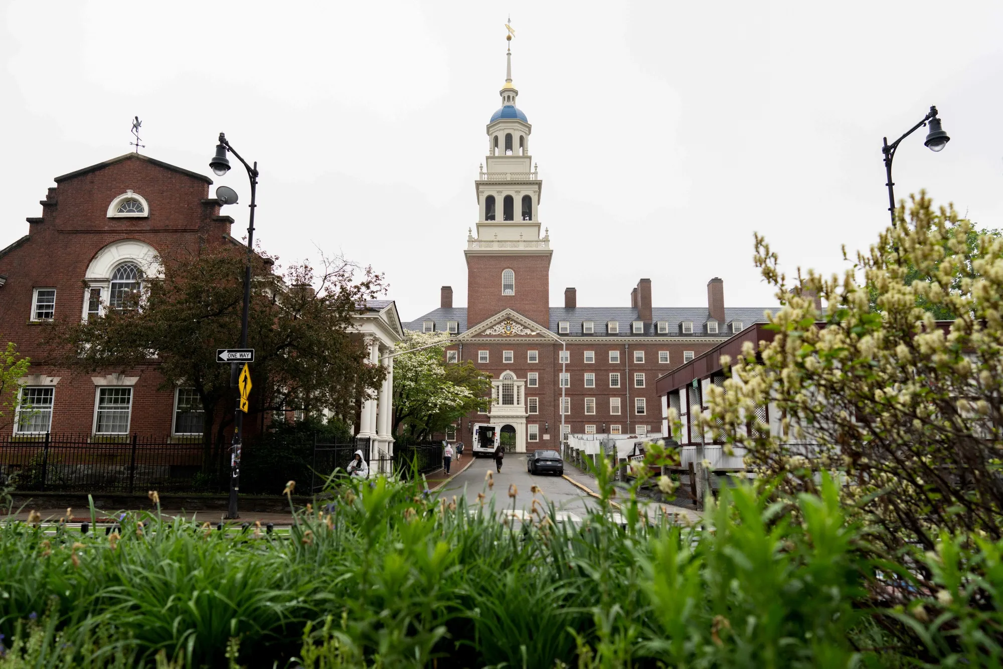 Capus de la universidad Harvard en Cambridge, Massachusetts.