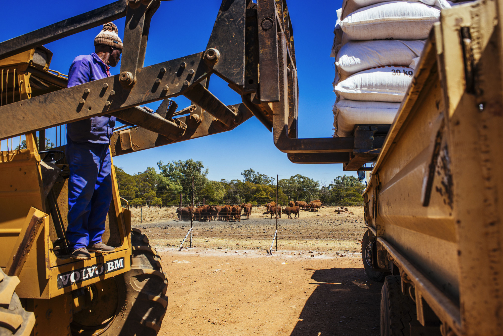 Image associated with story "Acumen Attracts $90 Million for African Agribusiness Fund"