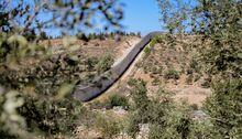 A separation wall cuts through olive groves and rugged hillsides in Hebron, partially obscured by tree branches in the foreground