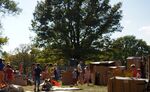 A pop-up adventure playground on Governors Island.