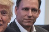 Peter Thiel Is Still Hoping That Donald Trump Just Fades Away