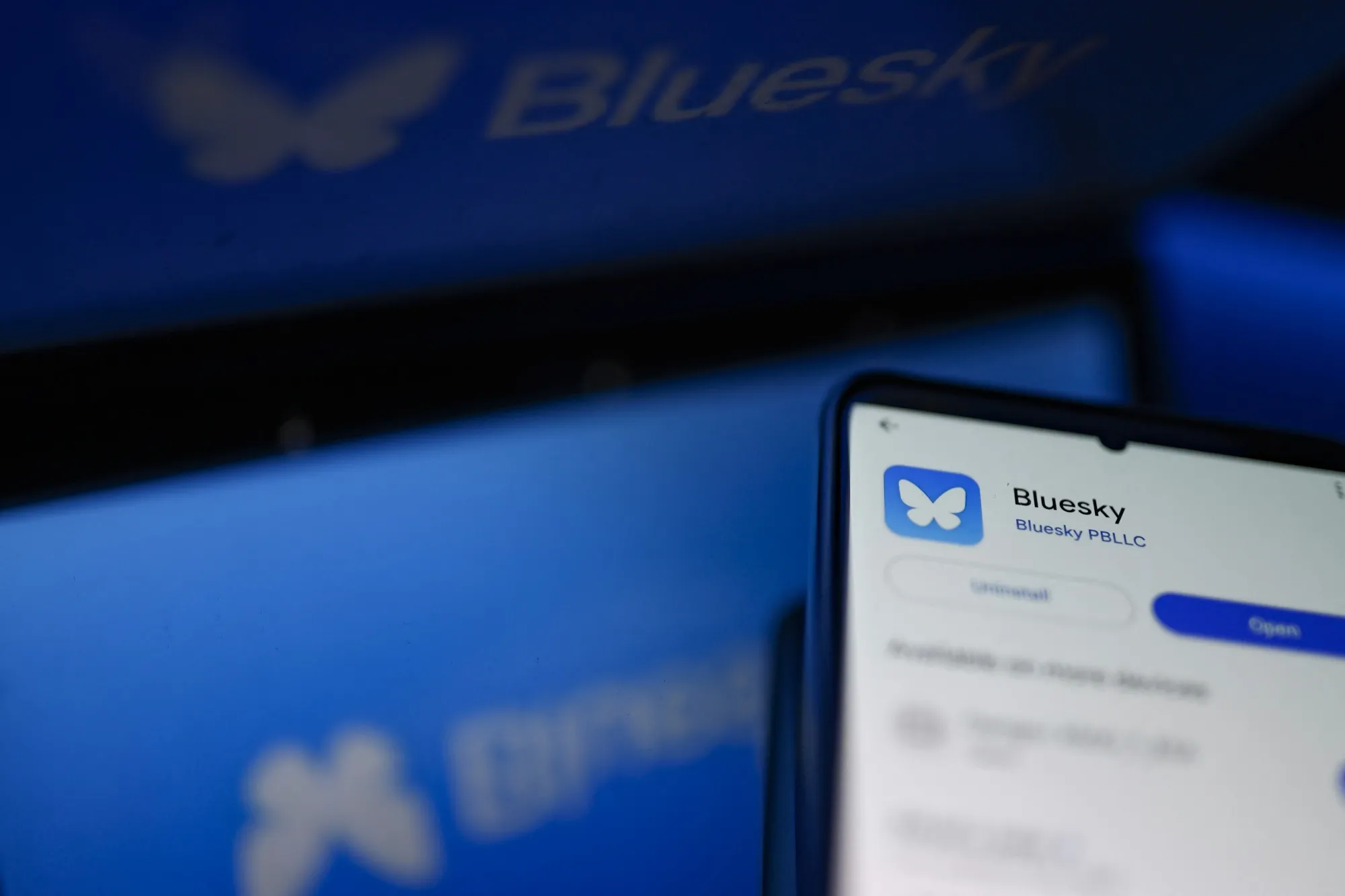 Bluesky has more than 15 million total users and has added more than 1.25 million new sign-ups since the US election on Nov. 5.