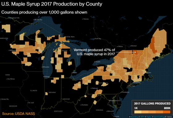 Maple Mania Takes Hold as U.S. Syrup Production Almost Triples