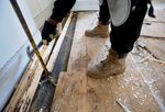A Reclaim Detroit worker pulls up hardwood floor at an abandoned house on March 11, 2015.

