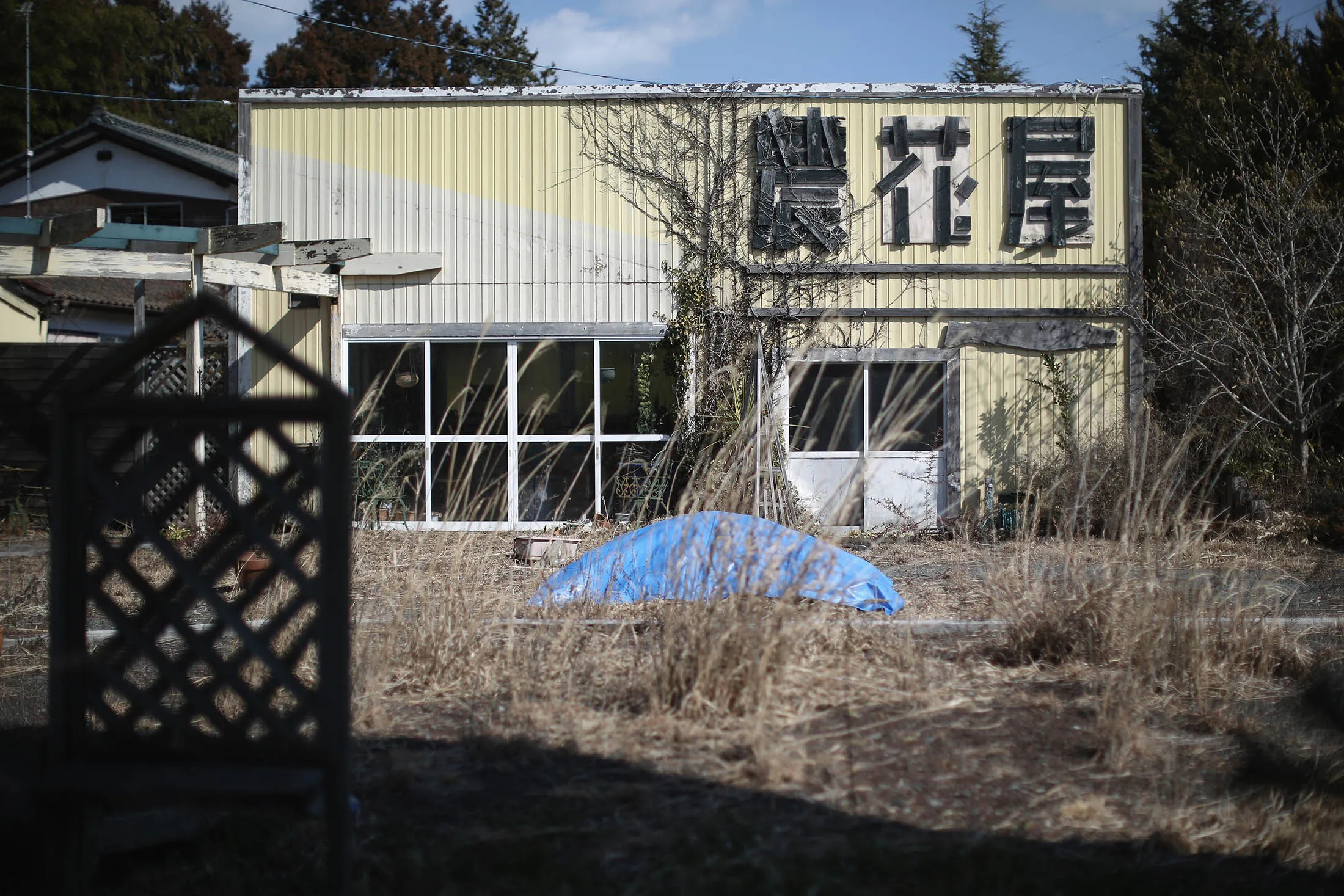 The passing of five years shows as vegetation and the elements begin to take their toll on homes and businesses inside the deserted exclusion zone close to the devastated Fukushima Daiichi Nuclear Power Plant.
