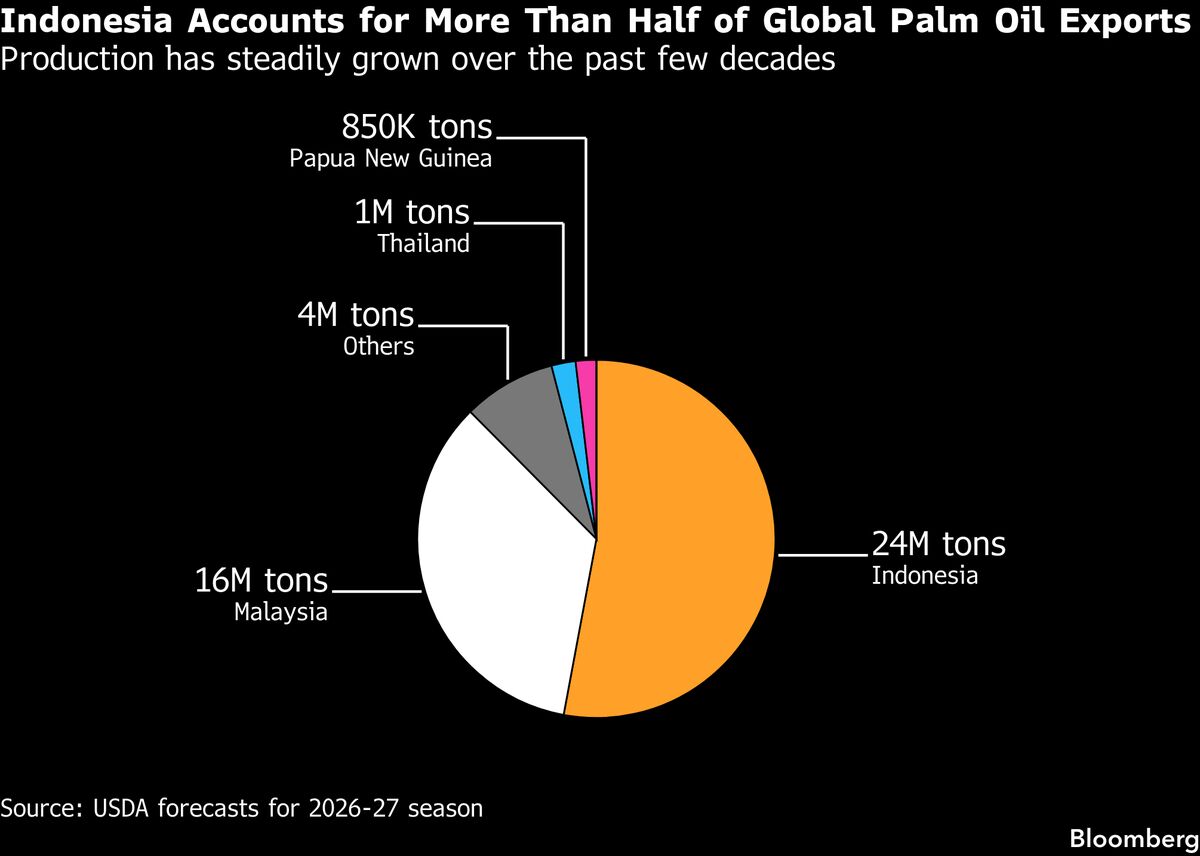 Indonesia’s Radical Export Plan Takes Effect as Questions Swirl