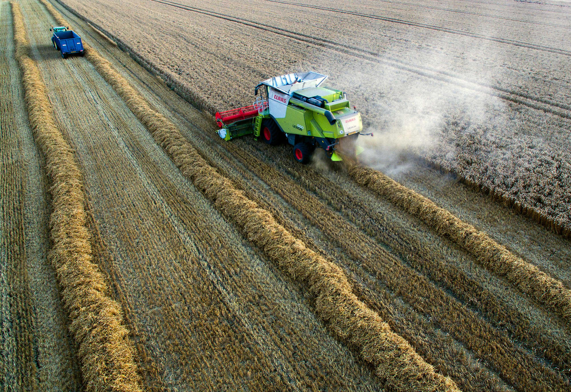 UK Farmers Say `Food Will Rot' in Fields Without EU Workers - Bloomberg