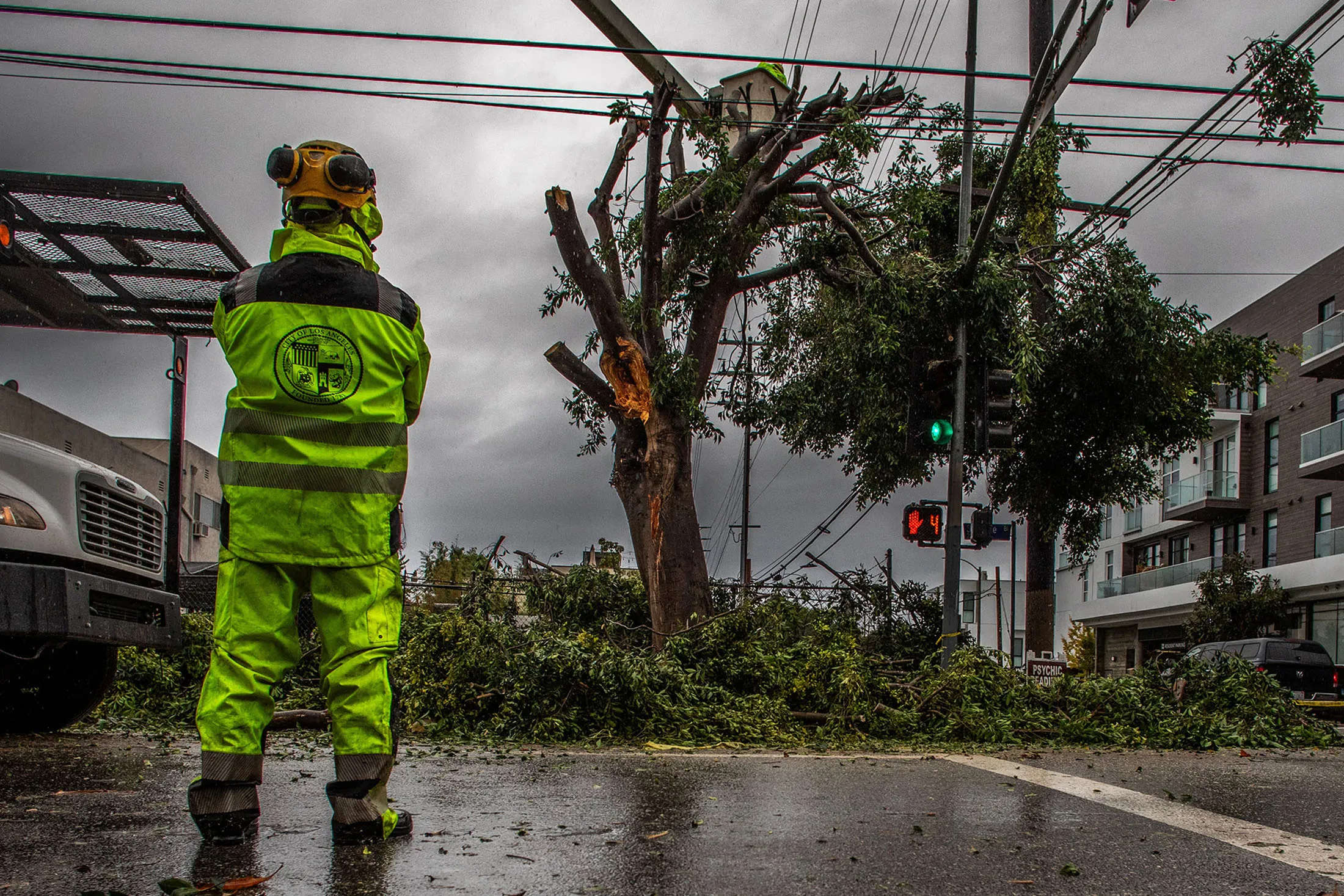 A city worker cuts a tree that fell during the rain in the West LA neighborhood of Los Angeles on Nov. 15.