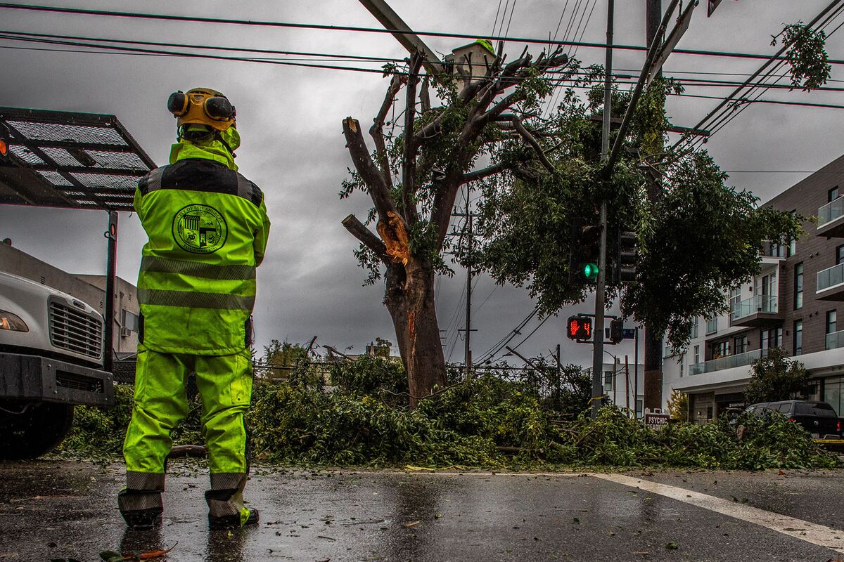 assets.bwbx.io image