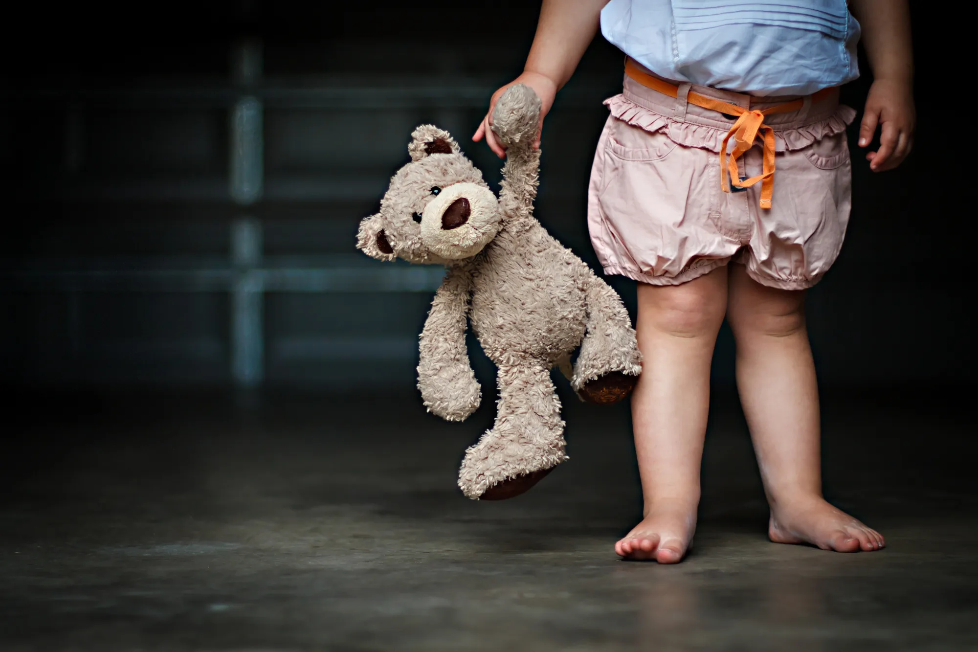A wolf in teddy bear's clothing.
