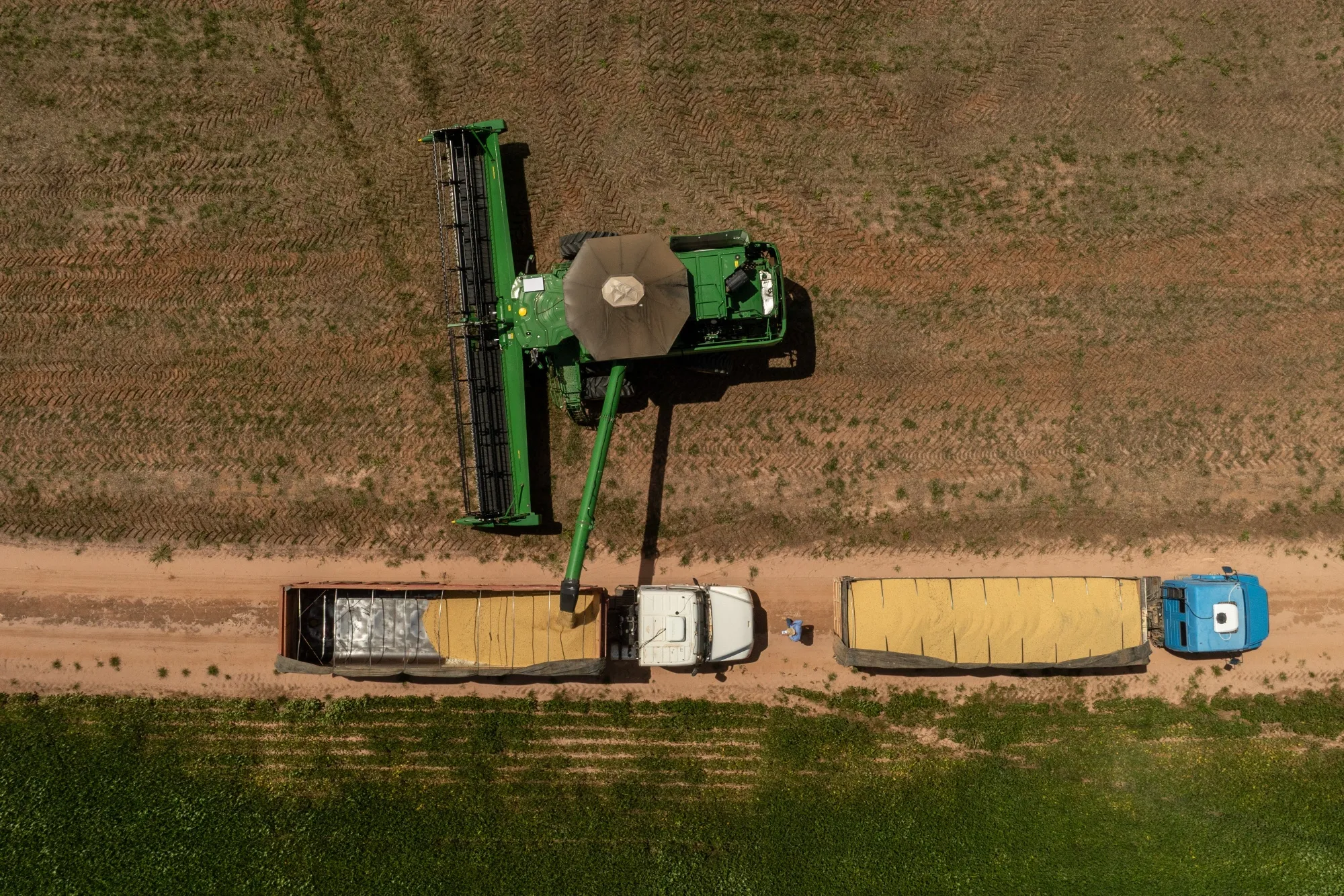 A combine harvester fills trucks along the edge of a soybean field during a harvest near Mambai, Goias state, Brazil, on March 3.