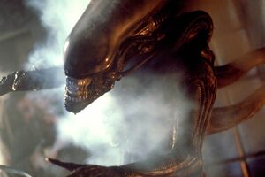 ‘Alien' Joins Old Movie Hits Returning to Theaters Aching to Fill Empty Seats