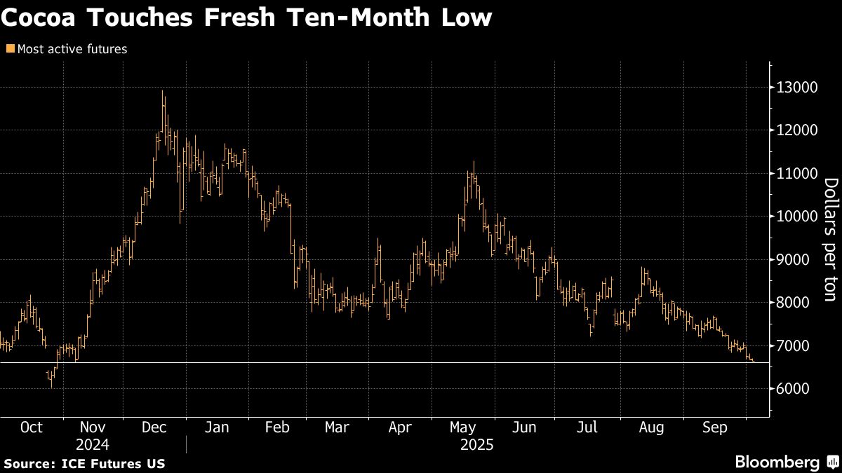 Cocoa Touches New Ten-Month Low on Farm-Gate Price and Crop Size