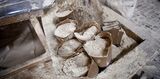 wheat flour