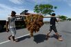 Small Town Hero Lures China Investment Without Jakarta Red Tape