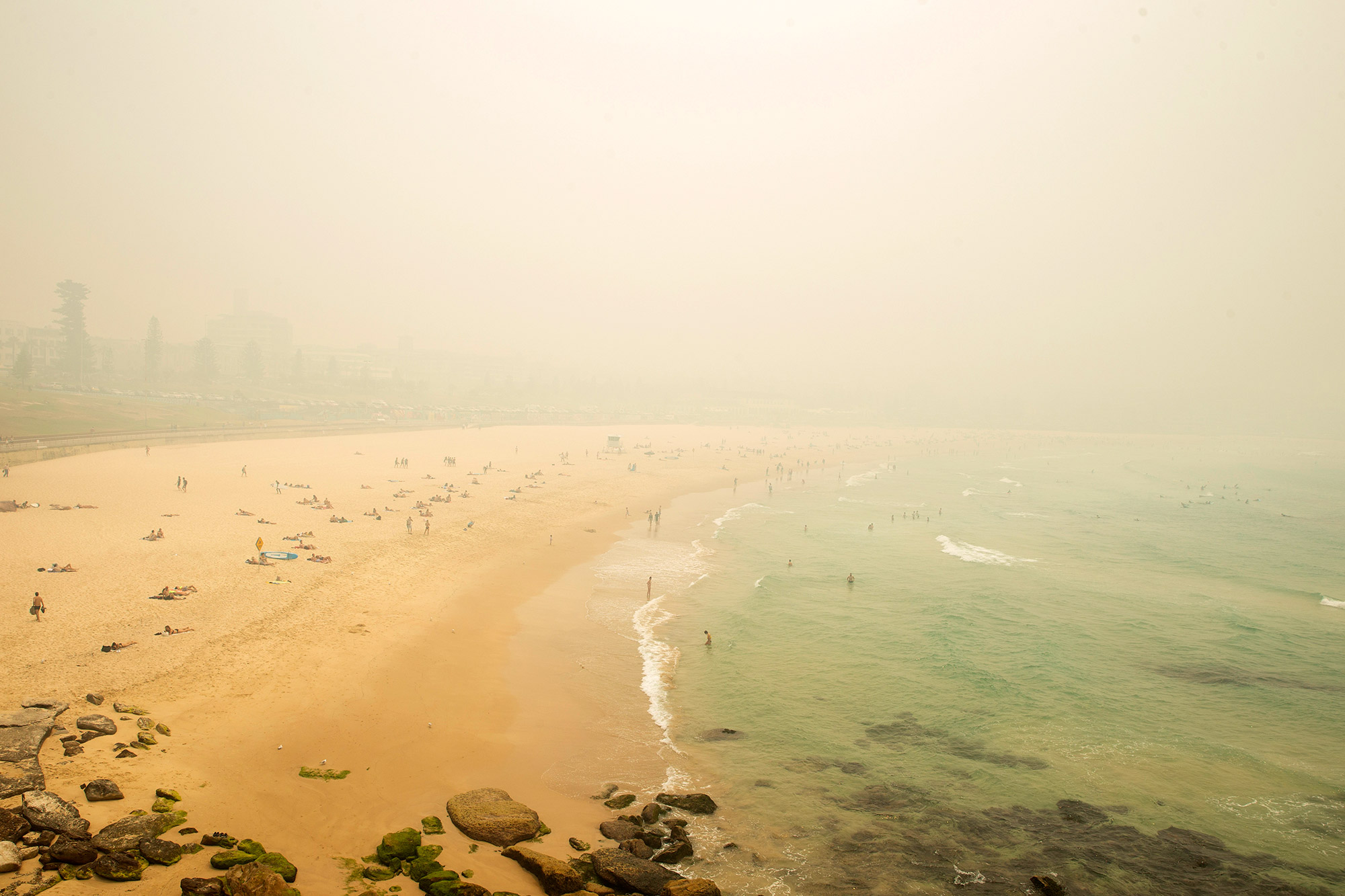 Sydney S Wildfire Smoke Declared A Public Health Emergency Bloomberg