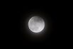Tokyoites Gather to Watch Lunar Eclipse
