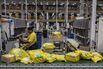 Inside A MercadoLibre Fulfillment Center on Black Friday