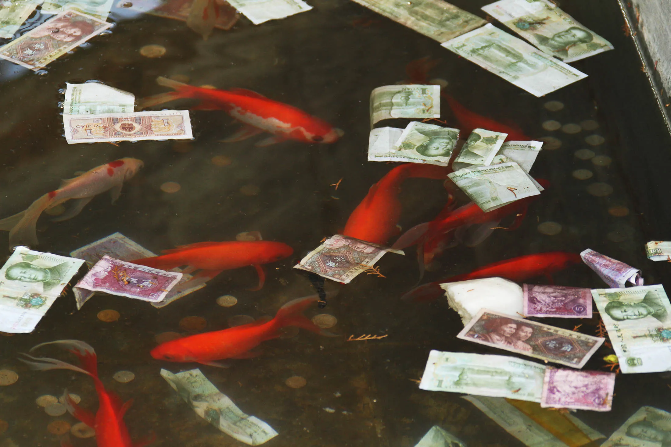 1499834693_china yuan pool float 2