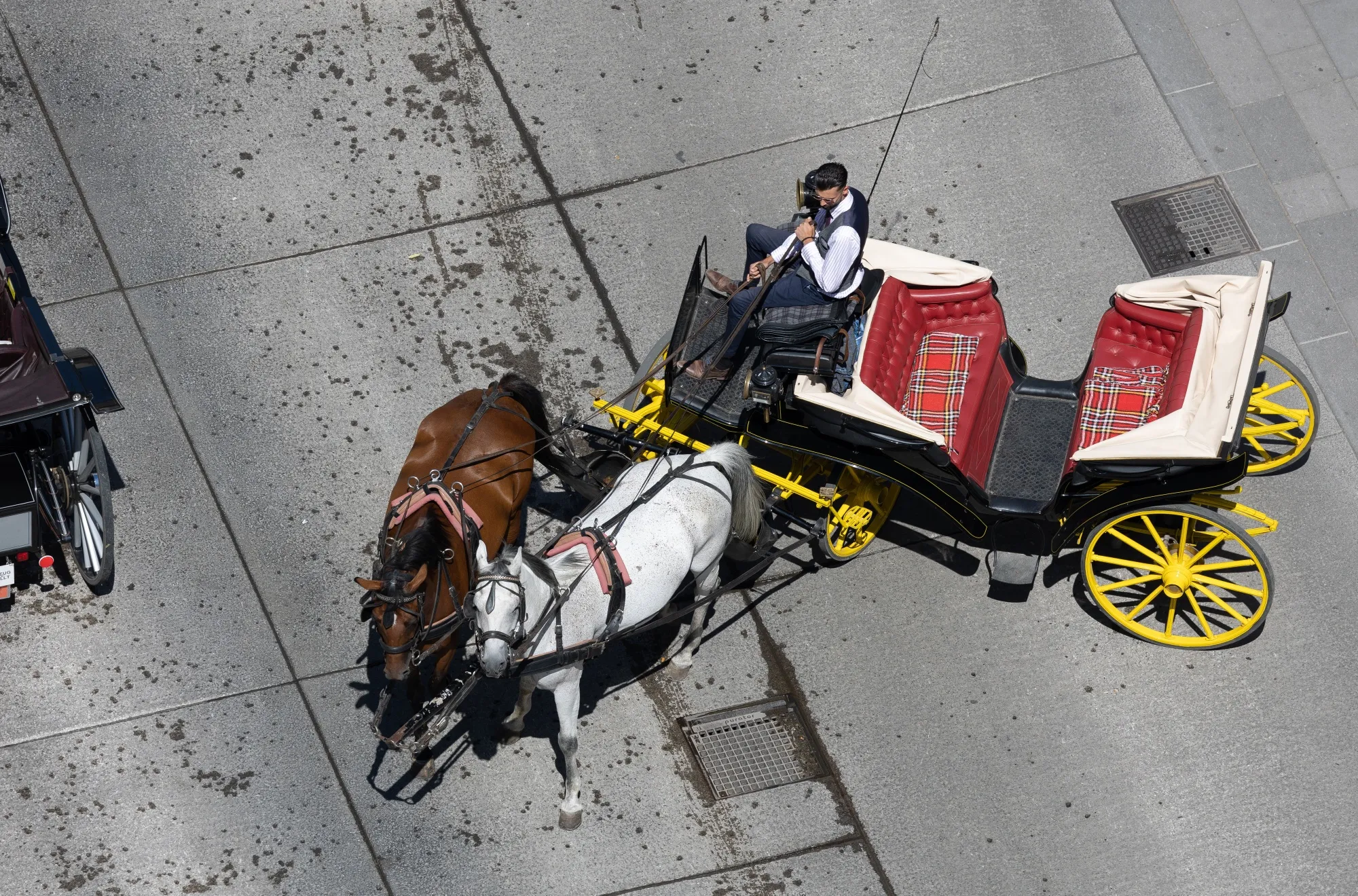 Horse carriages for sightseeing tours of the city in central Vienna.