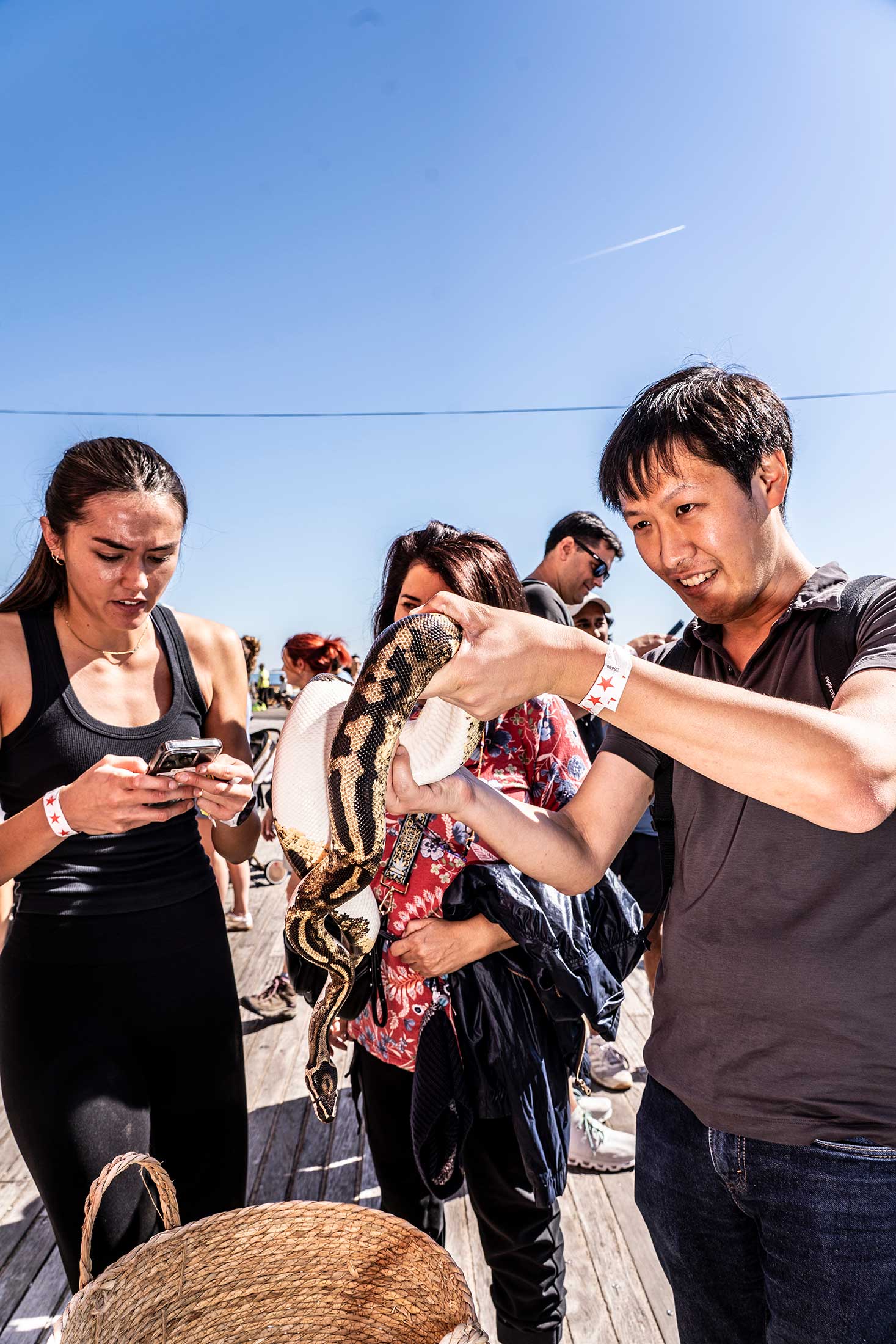 A contestant from PDT Partners picks up a snake to reveal a QR code.