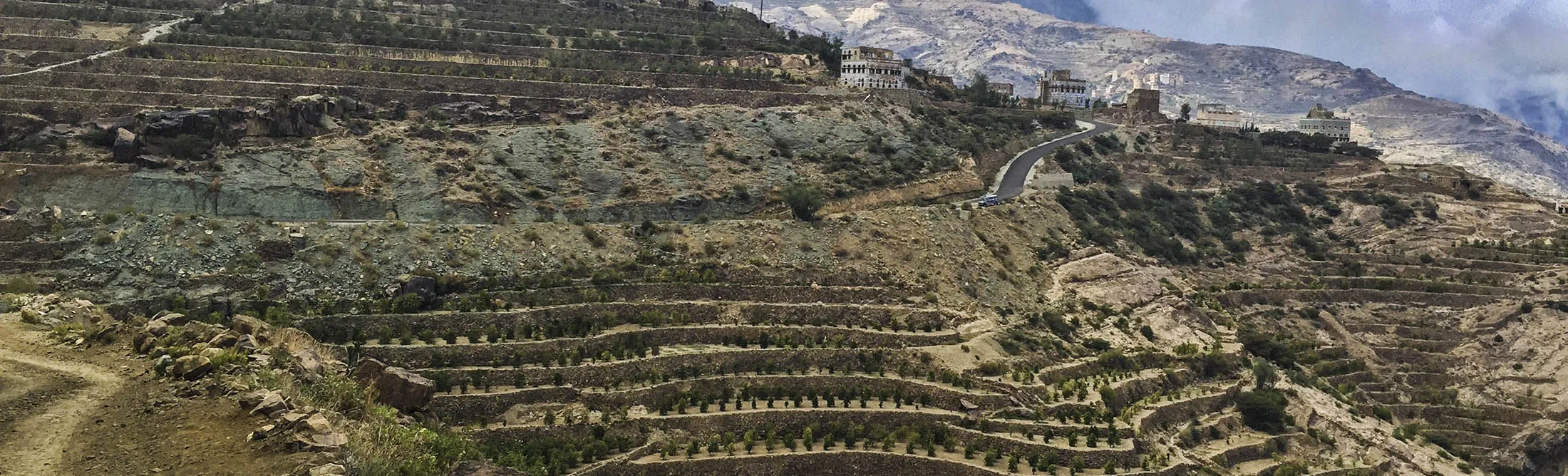 1498063349_lede-yemen-coffee