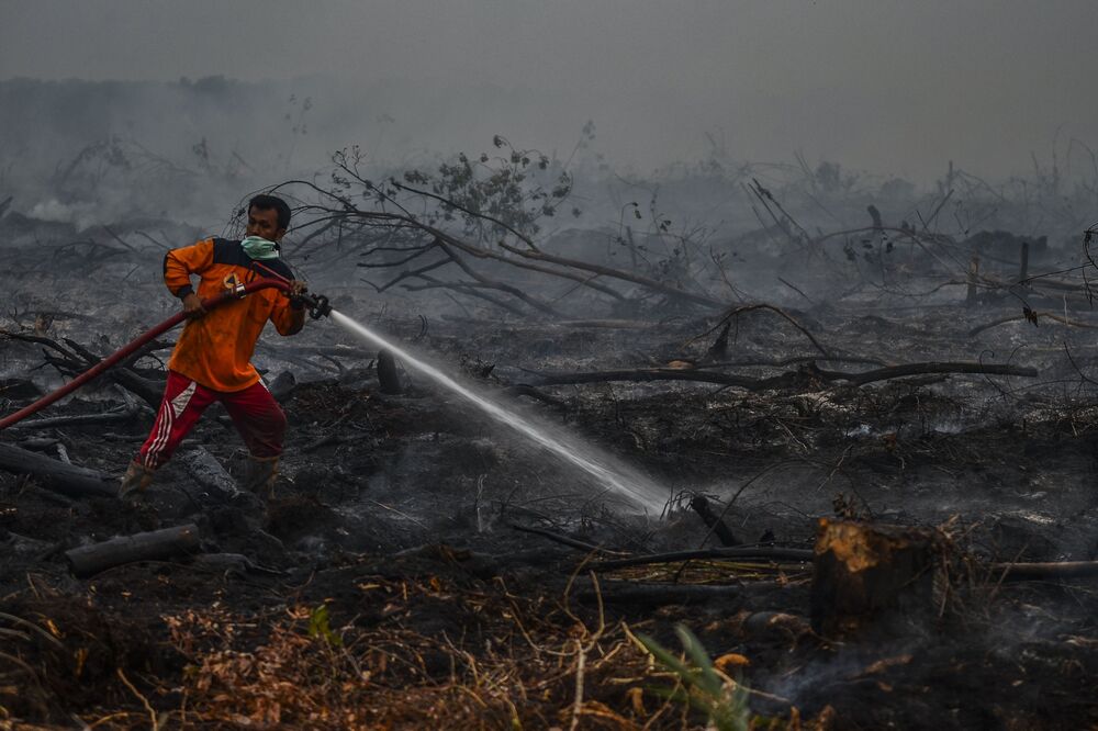 Firefighters battles a forest fire in Kampar, Riau Province on Sept. 9.