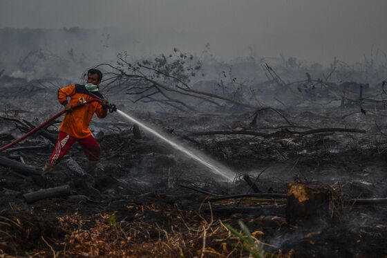 Jokowi Orders Crackdown on Arsonists: SE Asia Haze Update