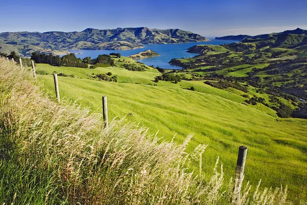 New Zealand, South Island, Akaroa, harbor on Banks Peninsula