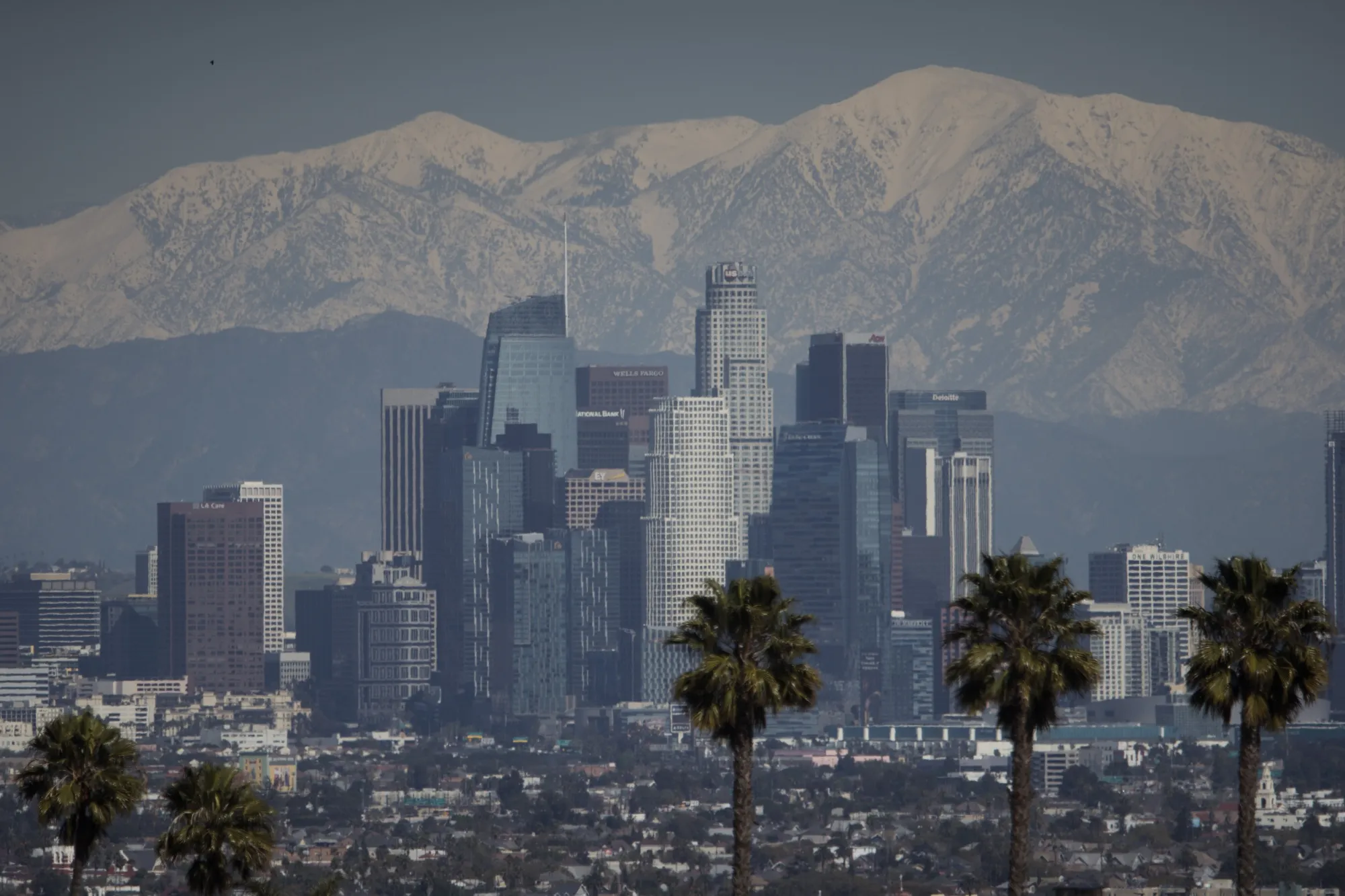 The snow-covered San Gabriel mountain range past the downtown Los Angeles skyline after a winter storm in Los Angeles in March&nbsp;2023.&nbsp;