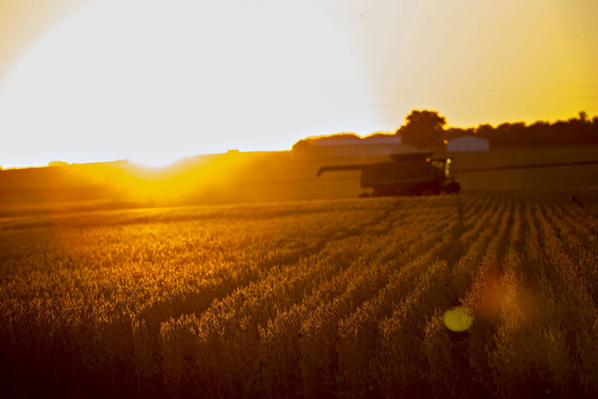 A combine harvester travels along a road beside a soybean field at dusk in Buda, Illinois, U.S., on Friday, Sept. 29, 2017.&nbsp;