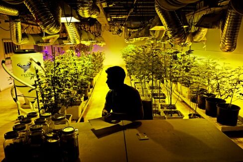Even Pot Dealers Need Insurance. The Problem Is, Where to Get It?