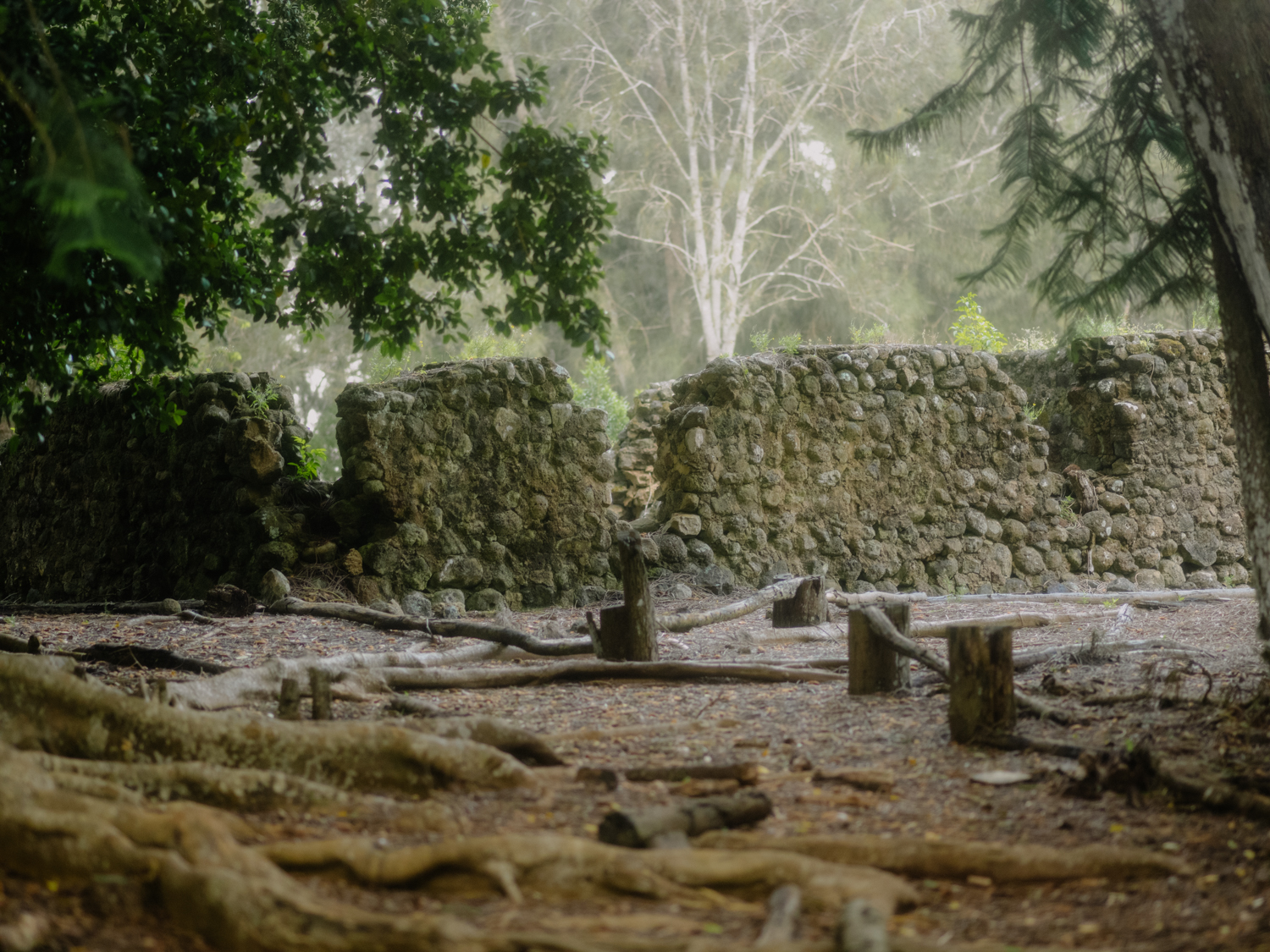 The remains of a church and schoolhouse that looked out over Lanai City